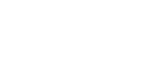 Logo of crypto casino Stake in white, no background